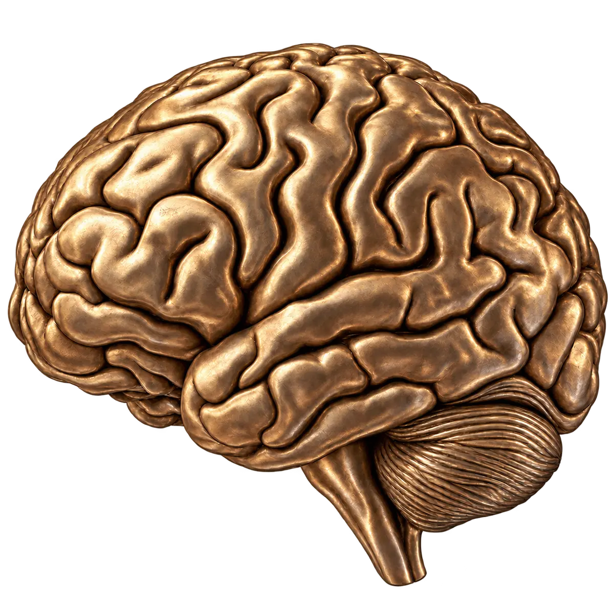 El Cerebro: escultura de bronce del equipo